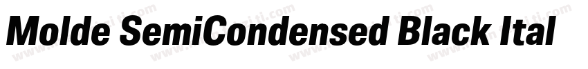 Molde SemiCondensed Black Italic字体转换